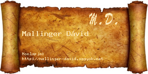 Mallinger Dávid névjegykártya